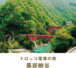 トロッコ電車の旅 黒部峡谷